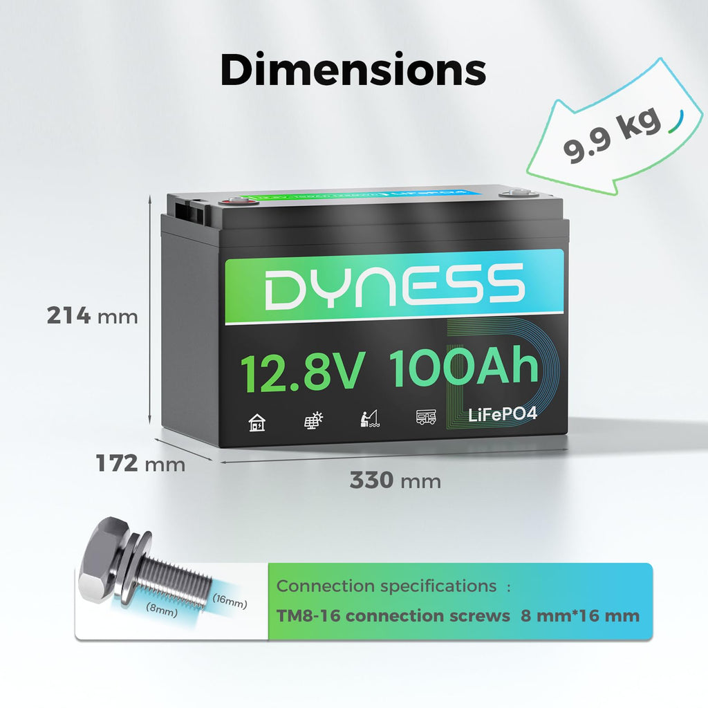 12V 100Ah LiFePO4 Lithium Battery 2 Pack Group 31 Y425