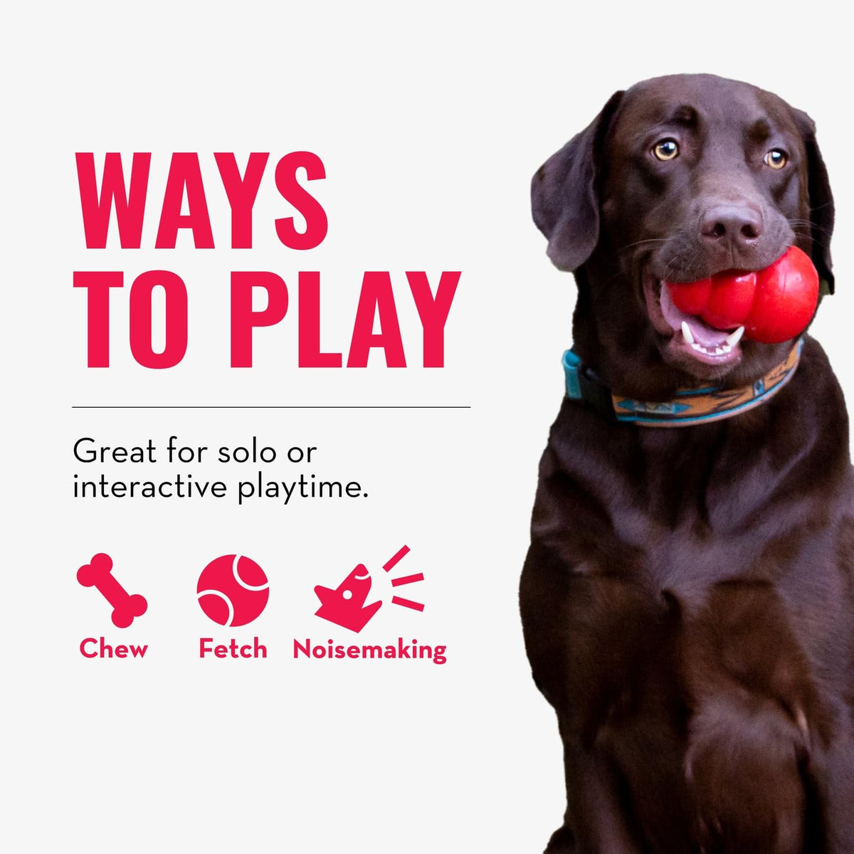 Dog Toy for Tug of War & Fetch, Pack of 2 P615