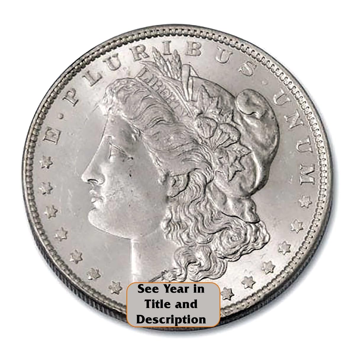 Morgan Silver Dollar Z269