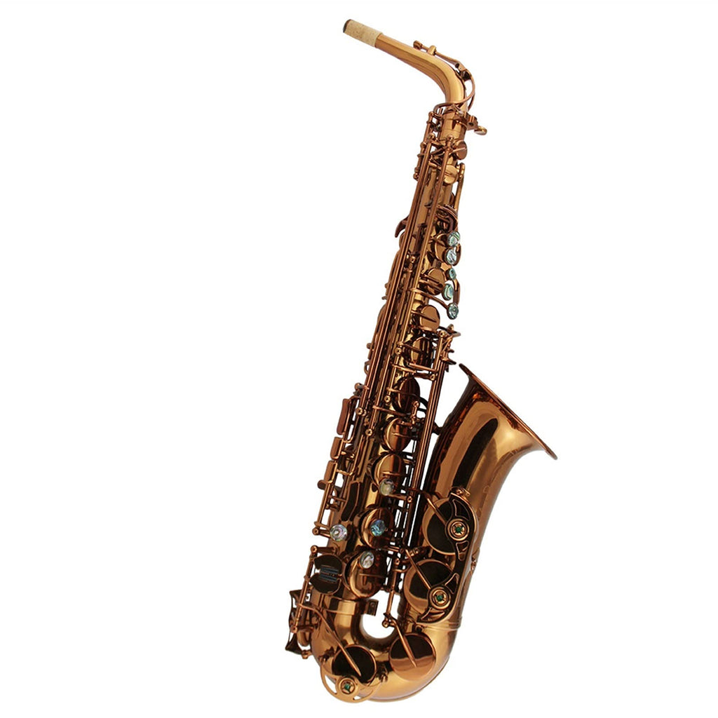 Champagne Golden Alto Saxophone Set P40047