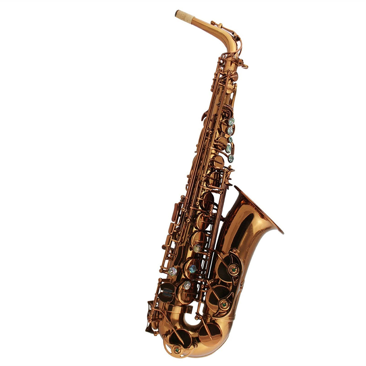 Champagne Golden Alto Saxophone Set P40047