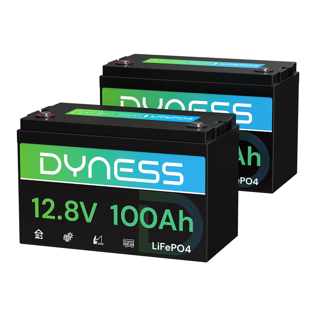 12V 100Ah LiFePO4 Lithium Battery 2 Pack Group 31 Y425