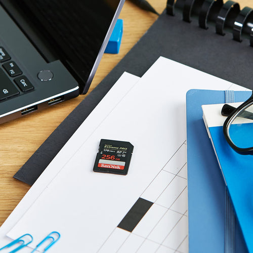 256GB SDXC UHS-I SD Card N99590