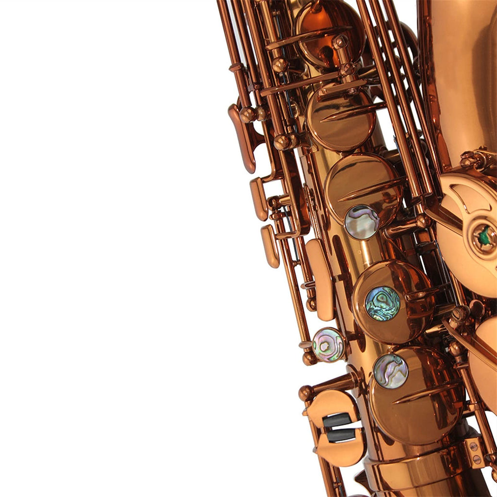 Champagne Golden Alto Saxophone Set P40047