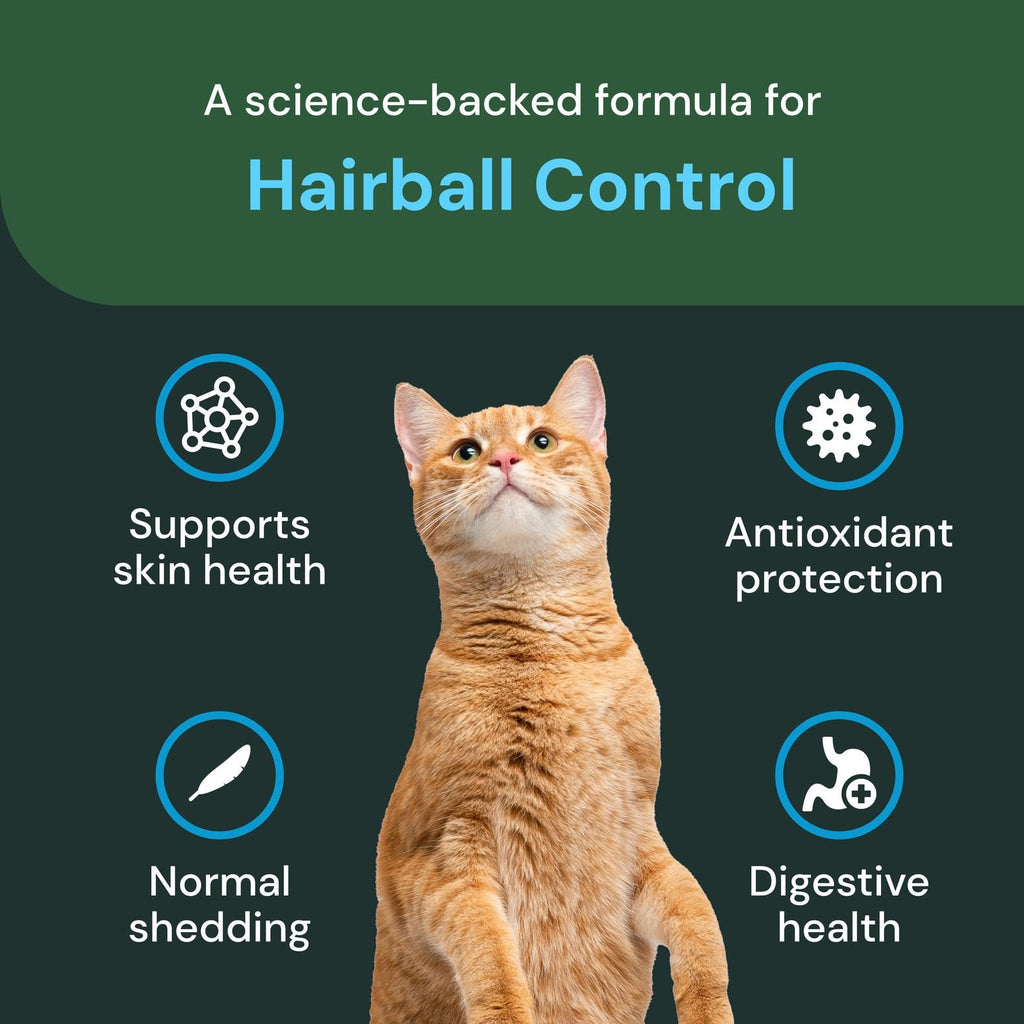 Chicken Flavor Cat Chews F4691
