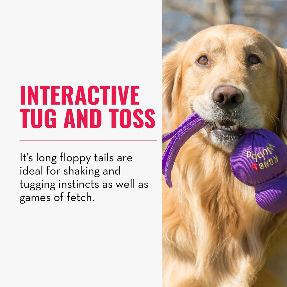 Dog Toy for Tug of War & Fetch, Pack of 2 P615