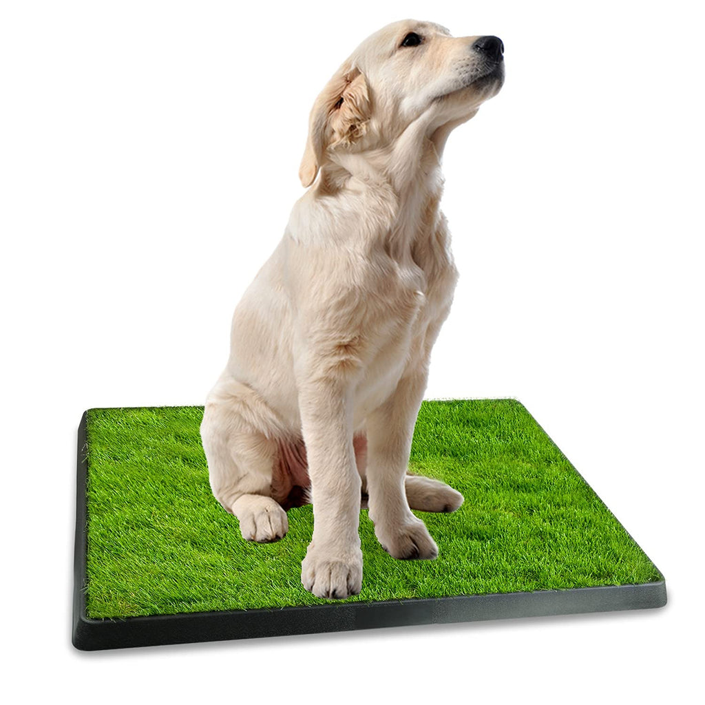 Indoor Dog Toilet with Artificial Grass 25" x 20" R5573