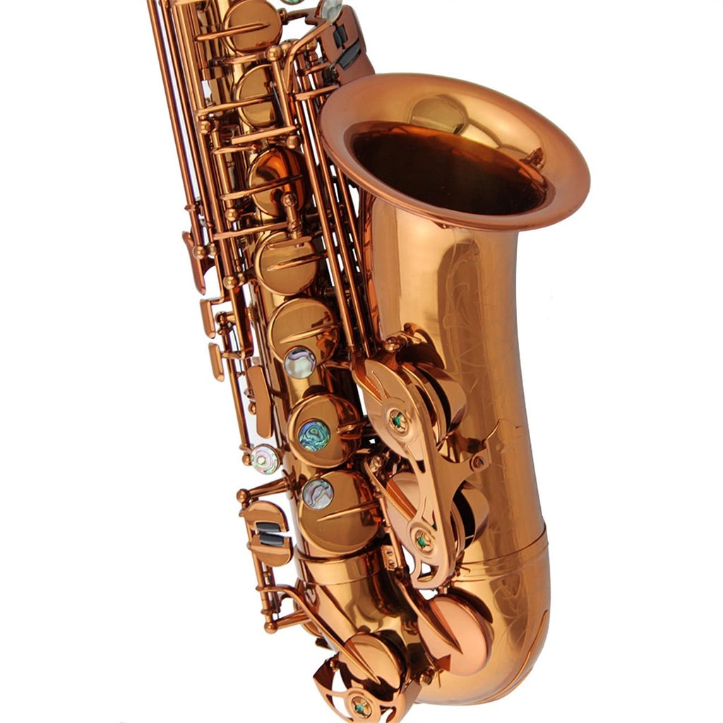 Champagne Golden Alto Saxophone Set P40047