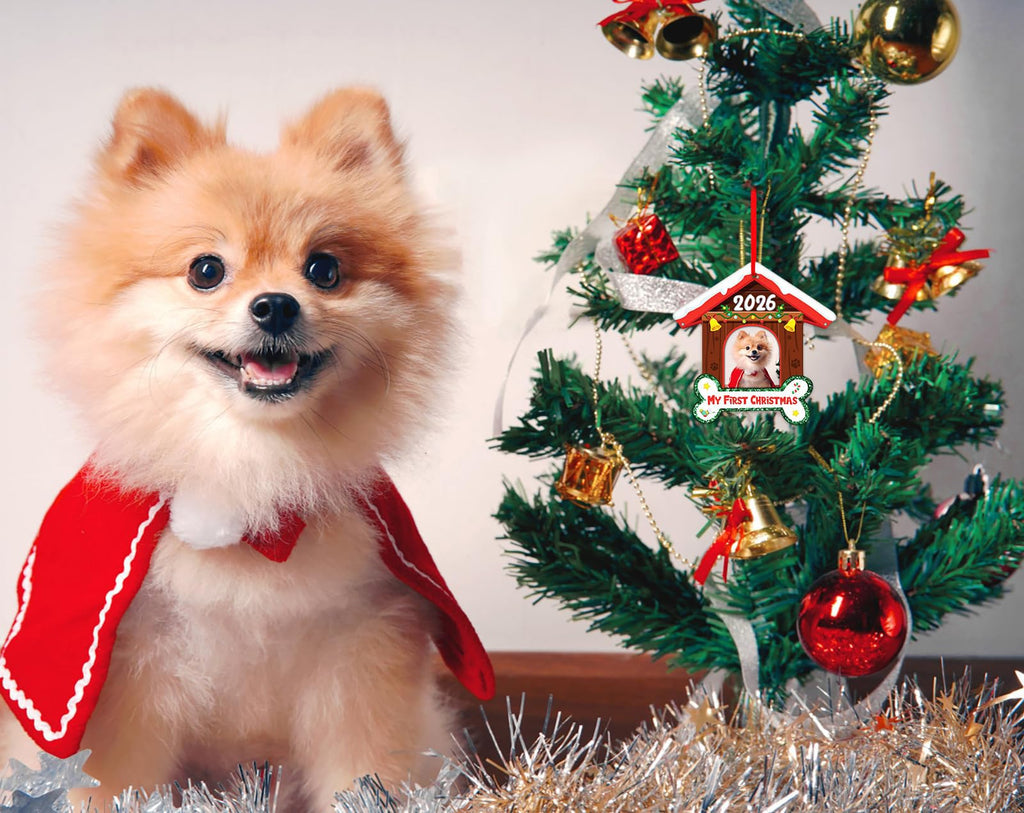 Dog Picture Frame Ornament V610