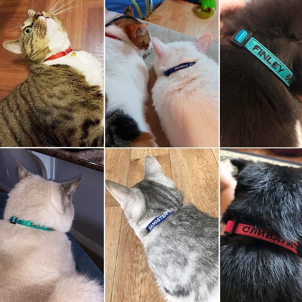 Nylon Cat Collar Breakaway with Bell X8040