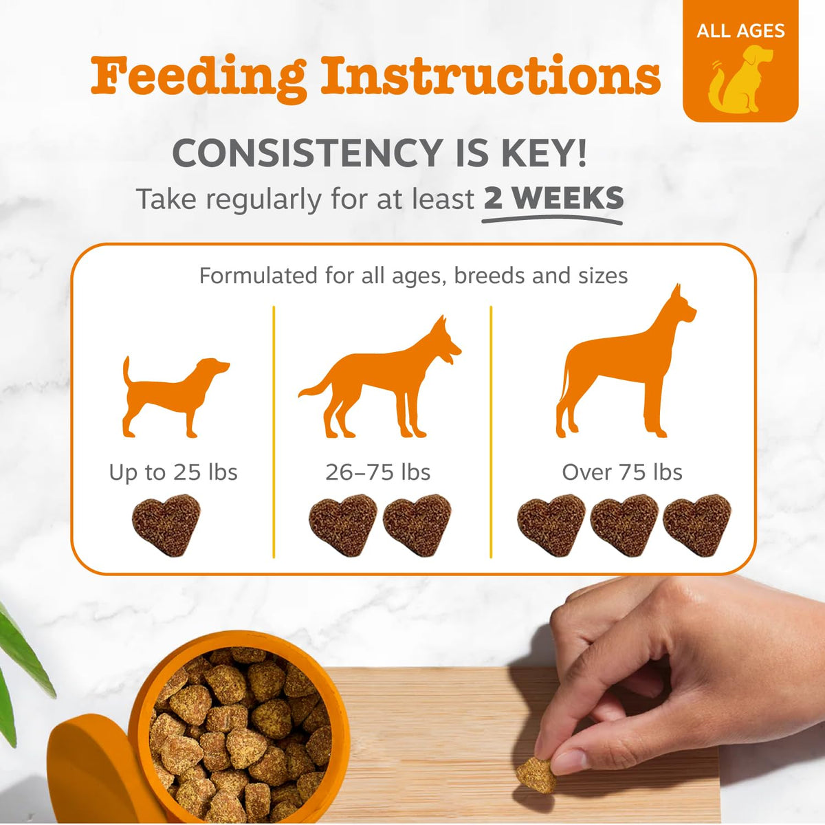 Probiotics for Dogs Chicken 90ct Z36749