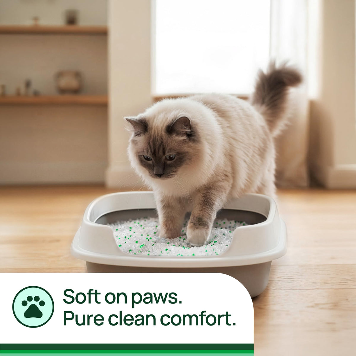 Unscented Non-Clumping Crystal Cat Litter, 7 lb Q9587