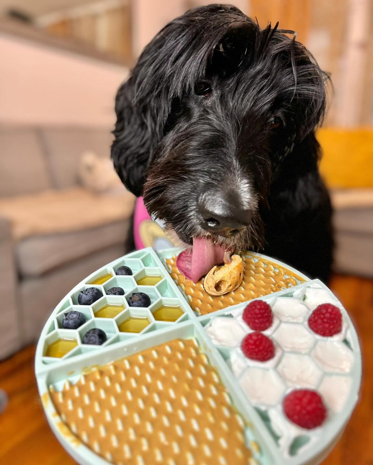 Natural Peanut Butter Dog Treats Set of 2 with Lickmat I203