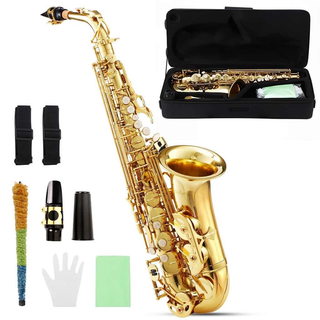 Alto Saxophone E Flat Starter Kit Gold H5813