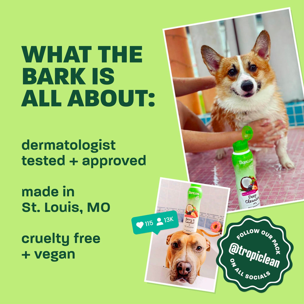 Oatmeal Dog Shampoo 20oz Z7155