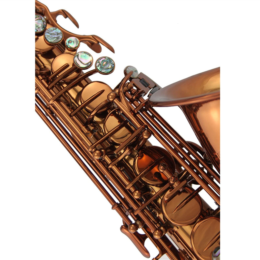 Champagne Golden Alto Saxophone Set P40047