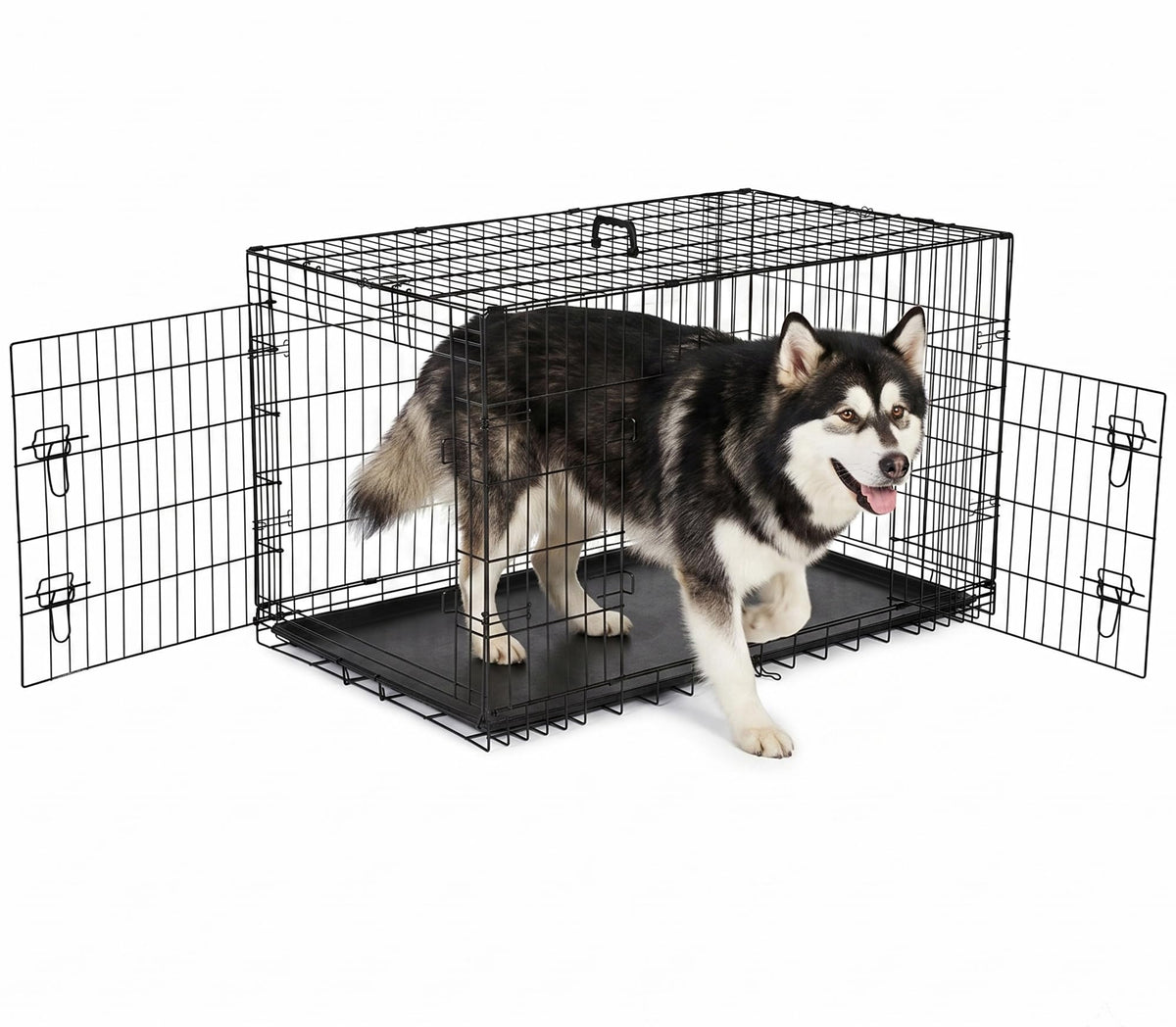 48 inch Folding Metal Wire Dog Crate with Double Door G98745