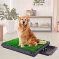 Washable Dog Grass Pad with Tray 20x25 C538902
