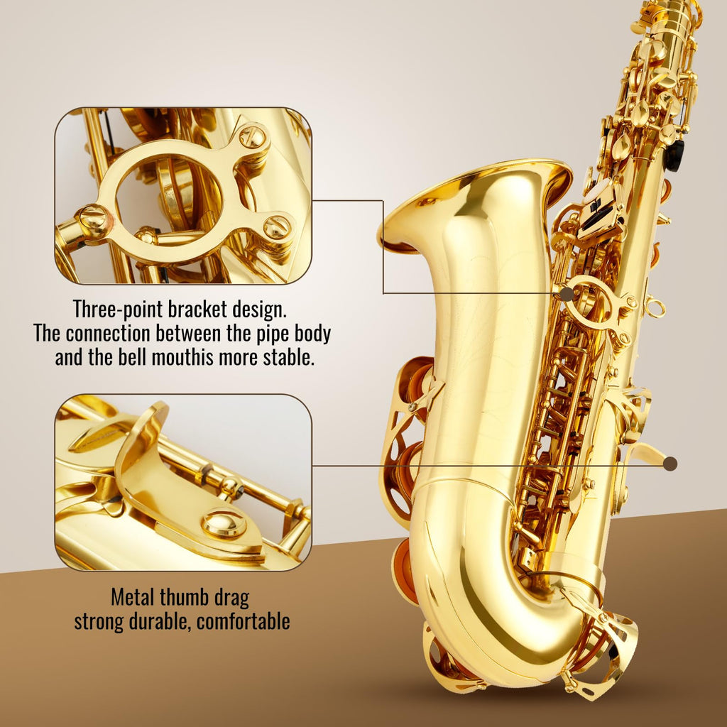 Alto Saxophone E Flat Starter Kit Gold H5813