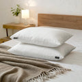Feather and Down Pillows, 100% Organic Cotton Cover F7397