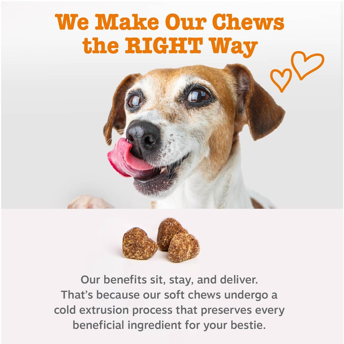 Probiotics for Dogs Chicken 90ct Z36749