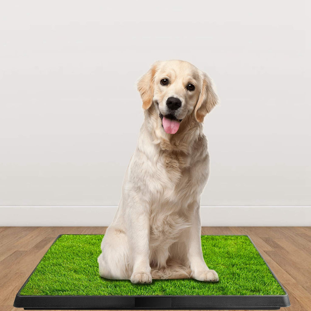 Indoor Dog Toilet with Artificial Grass 25" x 20" R5573
