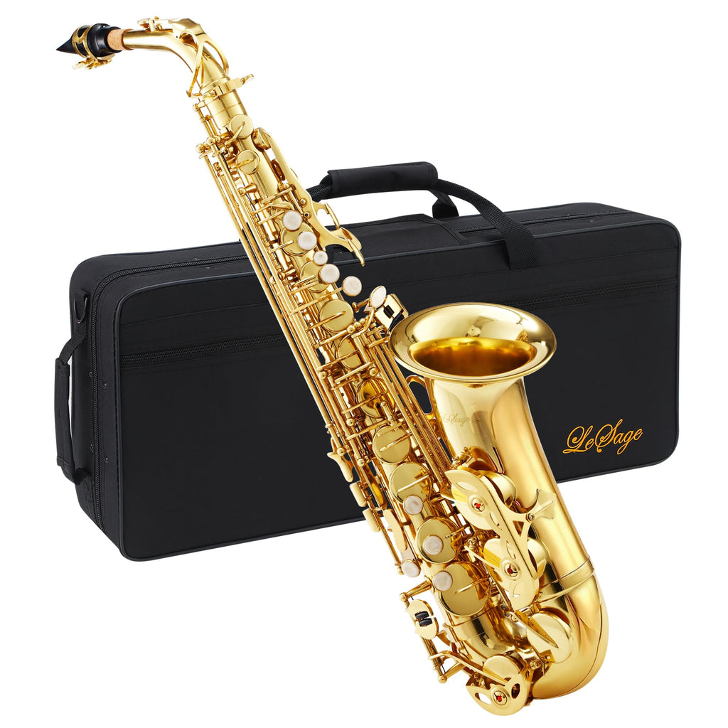 Alto Saxophone E Flat Starter Kit Gold H5813