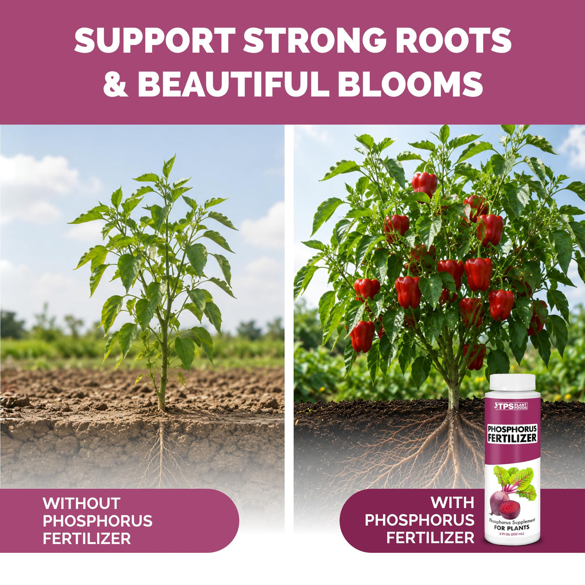 Liquid Phosphorus Fertilizer 32 oz M381030