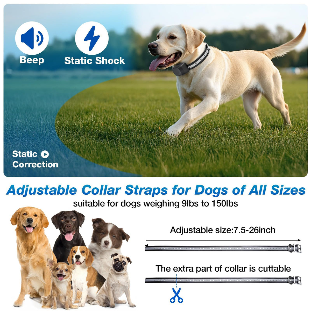 Electric Dog Fence Containment System with Waterproof Training Collar L1084