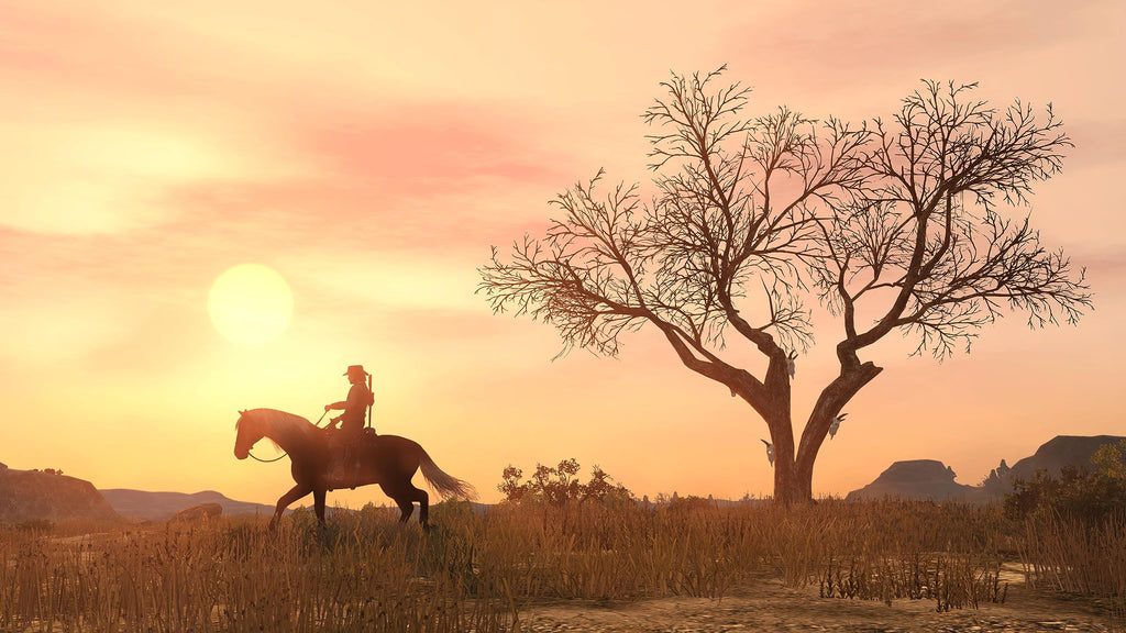 Red Dead Redemption PlayStation 4 R377