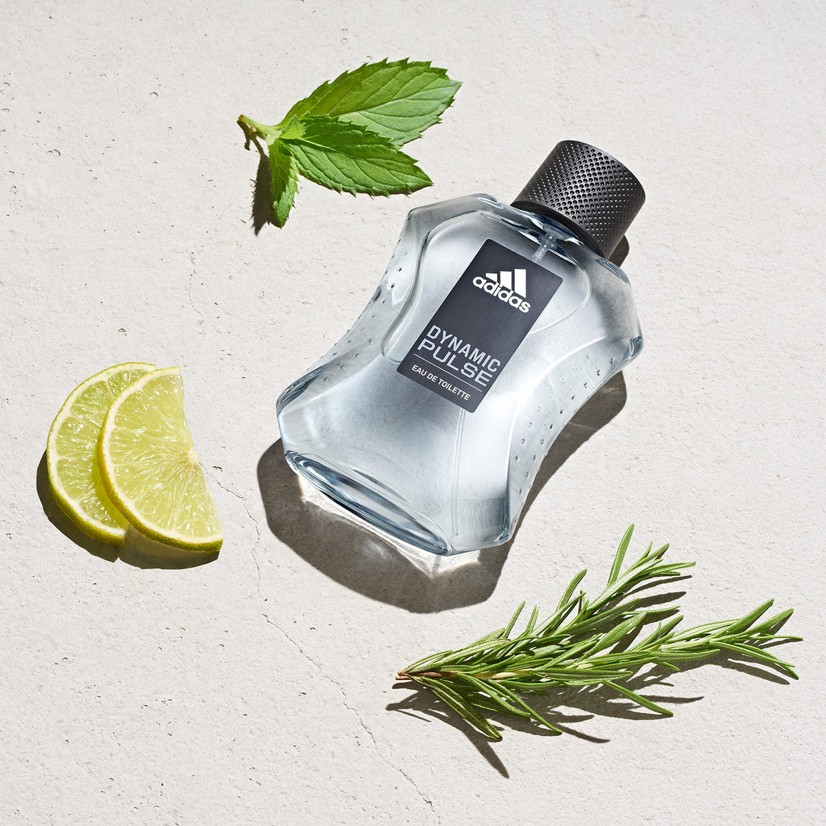 Eau de Toilette 3.3 fl oz Mint Apple Wood Men's Fragrance Q953701
