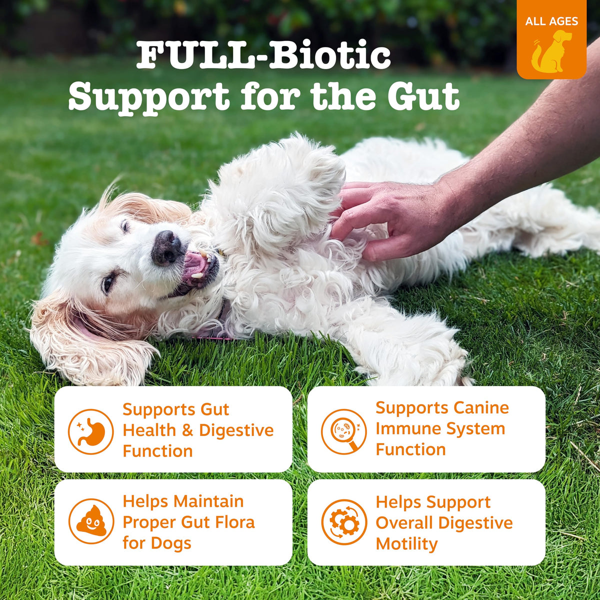 Probiotics for Dogs Chicken 90ct Z36749