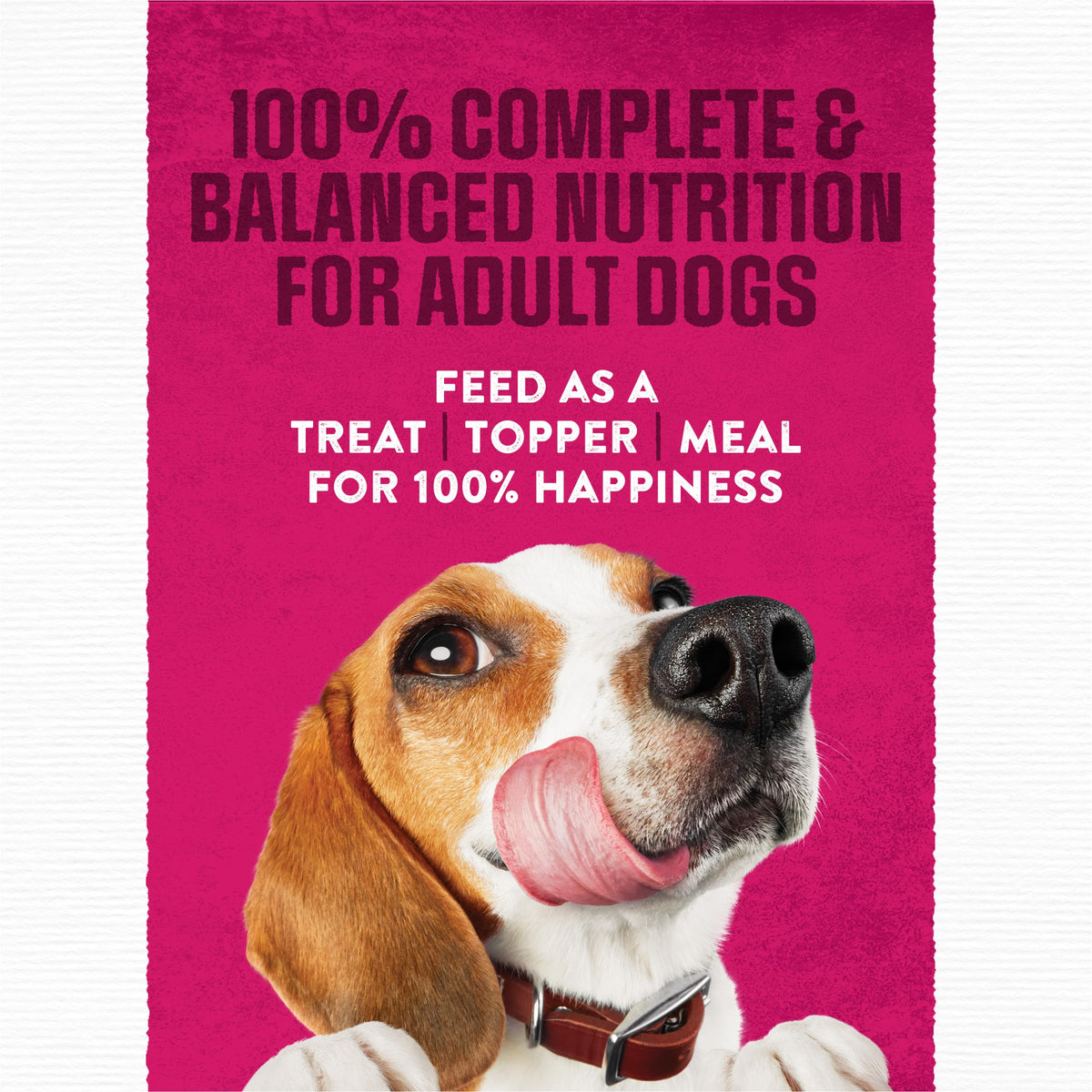 Moist & Meaty Soft Dog Food Pouches, 36 ct O170467